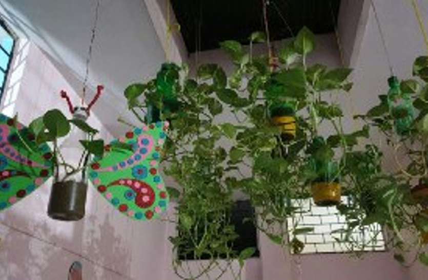 Give sweet home a new look with this summer season creativity इस समर सीजन क्रिएटिविटी से दें स्वीट होम को न्यू लुक