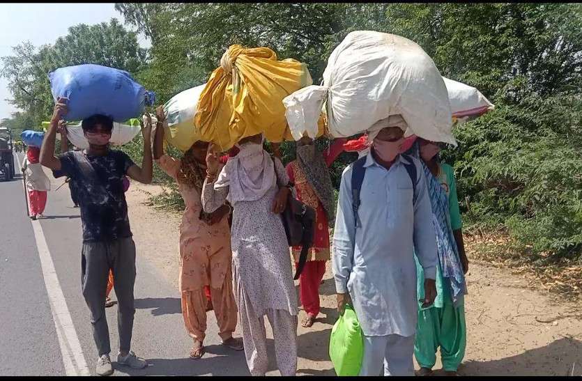 जैसलमेर से आने वाले श्रमिकों की पीड़ा व दर्द नहीं सुन रहा कोई जैसलमेर से आने वाले श्रमिकों की पीड़ा व दर्द नहीं सुन रहा कोई