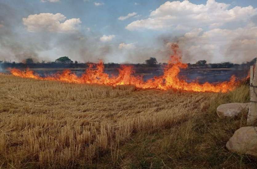 नहीं मान रहे किसान, आग लगाकर जला रहे नरवाई नहीं मान रहे किसान, आग लगाकर जला रहे नरवाई