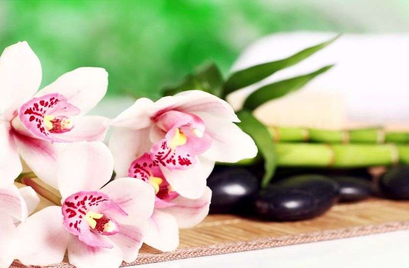 लॉकडाउन में आॅनलाइन चल रहा है सेहत और सौंदर्य कारोबार, महिलाएं ले रही हैं टिप्स लॉकडाउन में आॅनलाइन चल रहा है सेहत और सौंदर्य कारोबार, महिलाएं ले रही हैं टिप्स