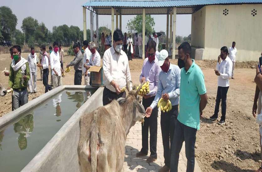 डीएम की इस अपील पर किसानों ने शुरू की ये पहल और अब.... डीएम की इस अपील पर किसानों ने शुरू की ये पहल और अब....