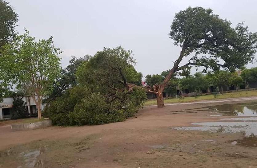 कुदरत का बिगड़ा मिजाज़ अन्नदाताओं पर गिरी गाज फसलें तबाह कुदरत का बिगड़ा मिजाज़ अन्नदाताओं पर गिरी गाज फसलें तबाह