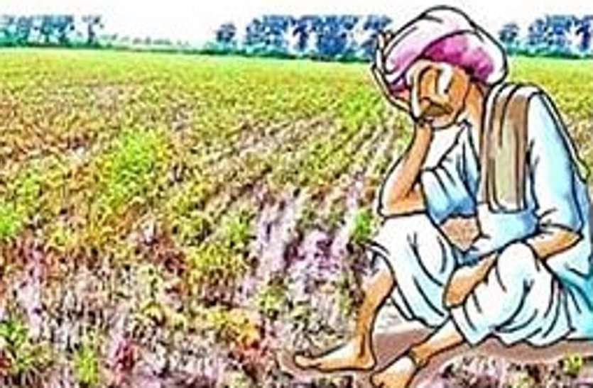 farmer कोरोना काल में किसान पर दोहरी मार, उपज की तुलाई के लिए मांगे पैसे