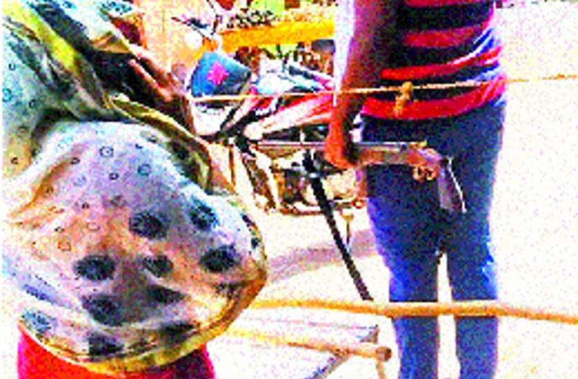 आशा कार्यकर्ता ने गांव में आने से किया मना तो युवक ने तान दी बंदूक, जान से मारने की दी धमकी आशा कार्यकर्ता ने गांव में आने से किया मना तो युवक ने तान दी बंदूक, जान से मारने की दी धमकी