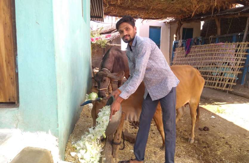 हाट बाजार बंद होने से सब्जियों की बिकवाली बंद, खेत में खराब हो रही गांव के पांव- हाट बाजार बंद होने से सब्जियों की बिकवाली बंद, खेत में खराब हो रही