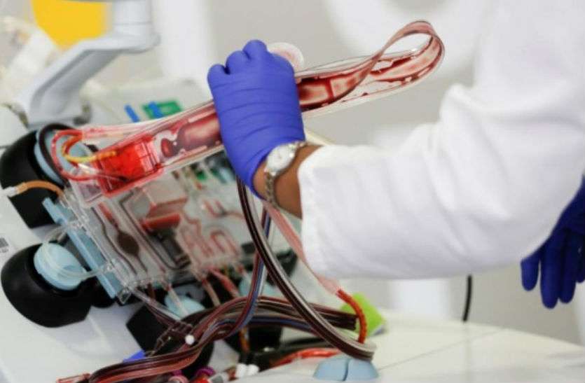 PLASMA THERAPY Plasma Therapy : बीकानेर और अजमेर मे भी जल्द शुरू होगी प्लाज्मा थेरेपी