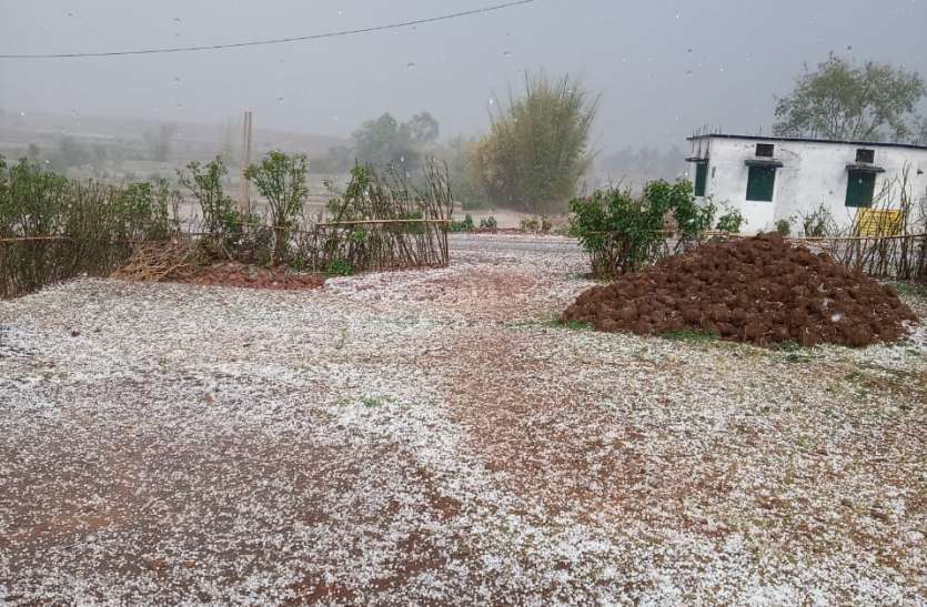 Hail storm with rain falling from the sky आसमान से गिरी बारिश के साथ ओलो की आफत