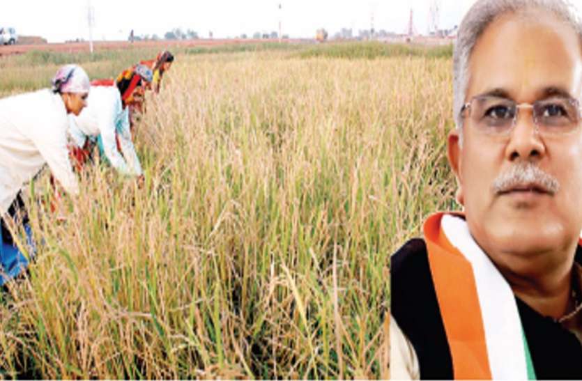 खेती-किसानी के लिए मिलेगा 4600 करोड़ रुपए का ऋण, अब तक 215 करोड़ रुपए वितरित खेती-किसानी के लिए मिलेगा 4600 करोड़ रुपए का ऋण, अब तक 215 करोड़ रुपए वितरित