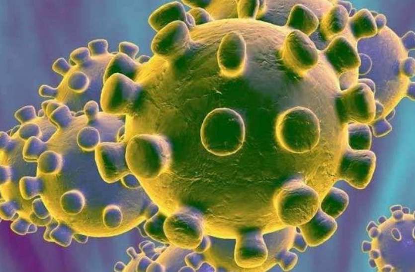 Coronavirus: बोटाद में एक दिन में 8 नए मामले, दो बच्चियों की रिपोर्ट भी पॉजिटिव Coronavirus: बोटाद में एक दिन में 8 नए मामले, दो बच्चियों की रिपोर्ट भी पॉजिटिव
