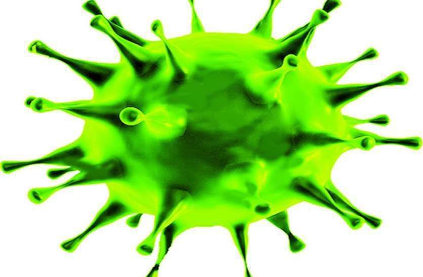 Coronavirus: अहमदाबाद में अब तक कोरोना सेे 273 ने दम तोड़ा Coronavirus: अहमदाबाद में अब तक कोरोना सेे 273 ने दम तोड़ा