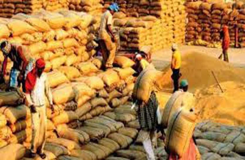 Farmers lying in market hungry and thirsty for a week to sell wheat गेहूं बेचने के लिए सप्ताहभर से भूखे-प्यासे मंडी में पड़े किसान, अव्यवस्था से आक्रोश