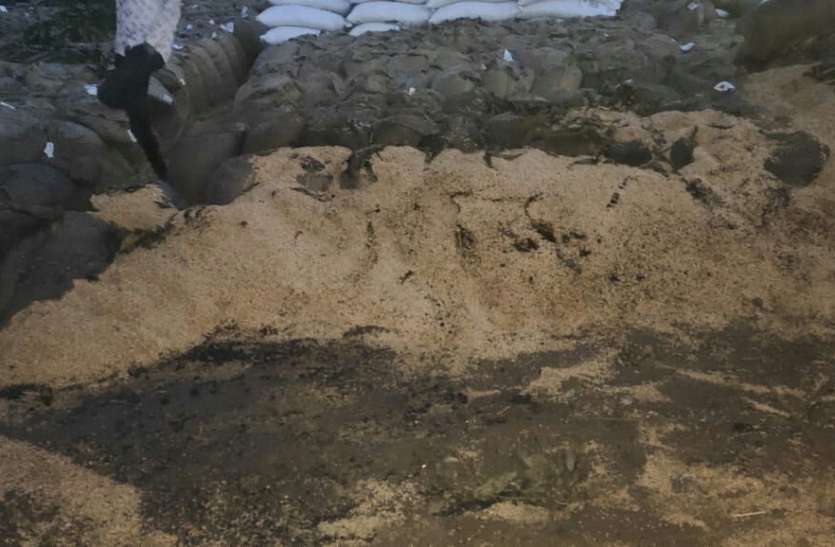200 कुंतल गेहूं व बारदाना जलकर खाक, हम्माल का पैर झुलसा, रेफर 200 कुंतल गेहूं व बारदाना जलकर खाक, हम्माल का पैर झुलसा, रेफर
