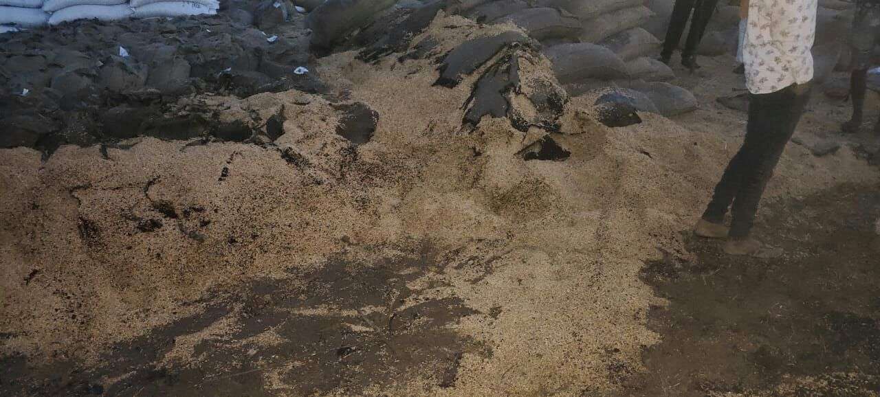 200 कुंतल गेहूं व बारदाना जलकर खाक, हम्माल का पैर झुलसा, रेफर