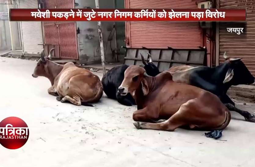 maxresdefault.jpg अवैध डेयरियों पर दूध लेने वालों का जमावड़ा
