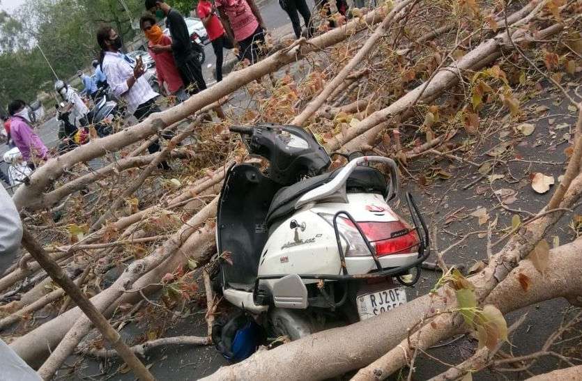 तेज अंधड़ से पेड़ गिरा कोटा में हादसा : तेज आंधी में पेड़ मौत बन कर टूटा, कपड़ा व्यापारी की गई जान