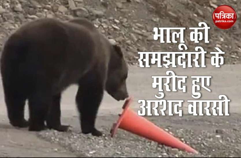 Viral Video भालू की समझदारी के कायल हुए अरशद वारसी, बोले-ये इंसान से ज्यादा समझदार...देखें वायरल वीडियो