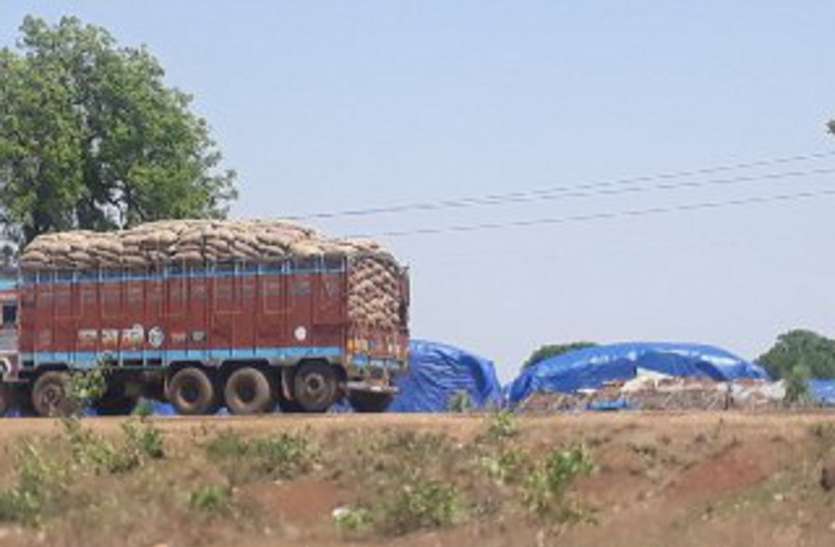 Overload transport of wheat from procurement center to warehouse केन्द्रों पर प्रति दिन 60 हजार क्विंटल की तौल, परिवहन 50 फीसदी