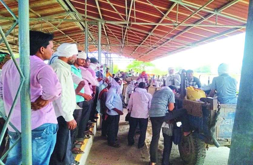 फसल खरीदी में व्यापारी कर रहे मनमानी, निजी दुकानों पर हो रही तौल फसल खरीदी में व्यापारी कर रहे मनमानी, निजी दुकानों पर हो रही तौल
