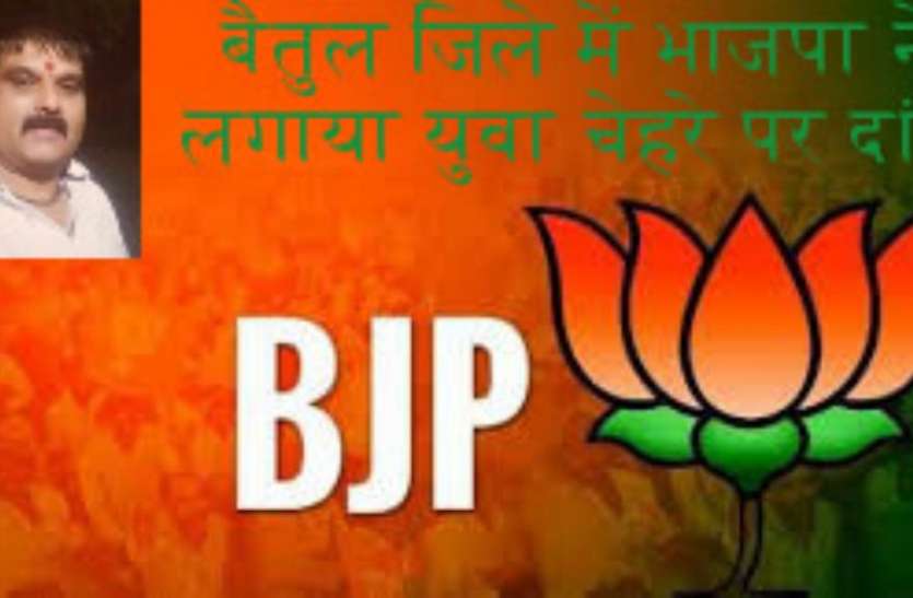 बैतूल जिला में युवा चेहरे को भाजपा ने सौंपी कमान, लोकसभा चुनाव में निभाई थी महत्वपूर्ण जिम्मेदारी बैतूल जिला में युवा चेहरे को भाजपा ने सौंपी कमान, लोकसभा चुनाव में निभाई थी महत्वपूर्ण जिम्मेदारी