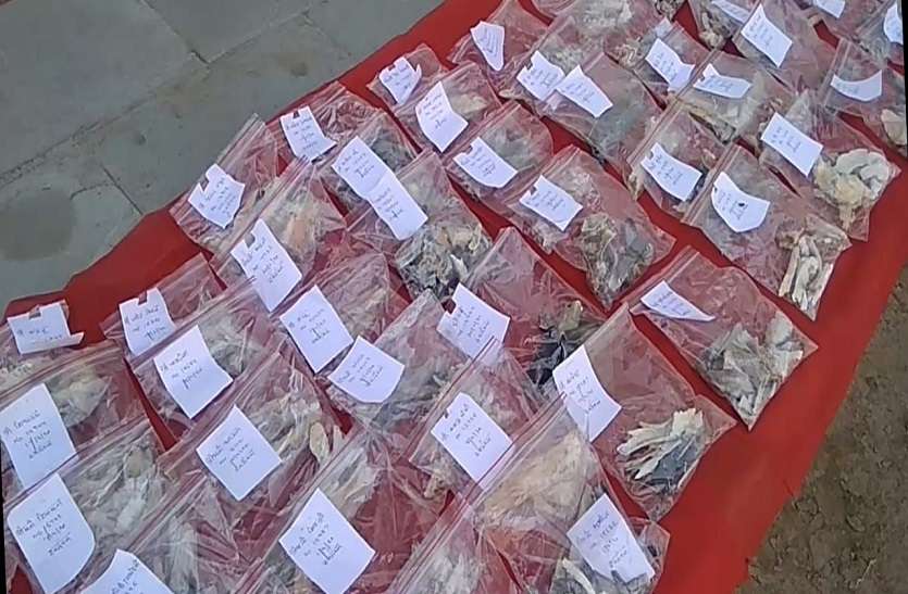अपनाघर: यहां...विसर्जन के इंतजार में रखी 90 प्रभुजनों की अस्थियां अपनाघर: यहां...विसर्जन के इंतजार में रखी 90 प्रभुजनों की अस्थियां