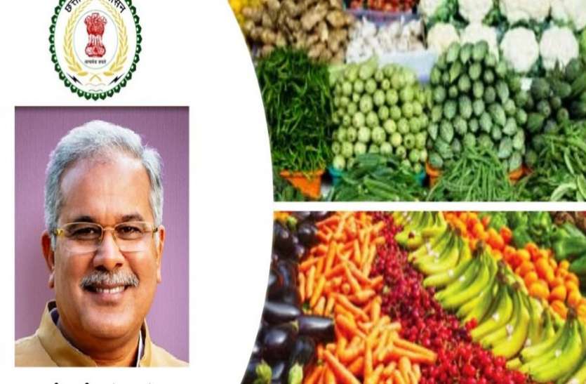 प्रदेश के 6 हजार लोगों ने खरीदी सीजी हॉट से फल, सब्जी और दूध प्रदेश के 6 हजार लोगों ने खरीदी सीजी हॉट से फल, सब्जी और दूध