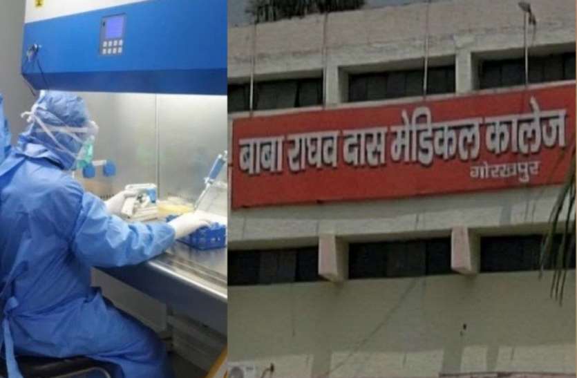 BRD Medical College COVID 19: बीआरडी मेडिकल कॉलेज के दो लैब करेंगे कोरोना की जांच