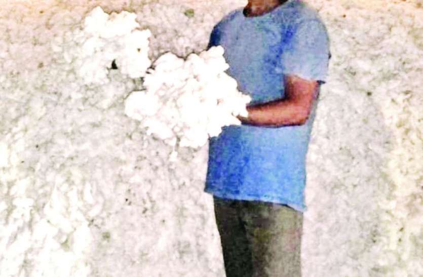 कपास के बंपर उत्पादन के बाद भी किसान निराश, मंडियां बंद होने से नहीं मिल रहा उचित दाम कपास के बंपर उत्पादन के बाद भी किसान निराश, मंडियां बंद होने से नहीं मिल रहा उचित दाम