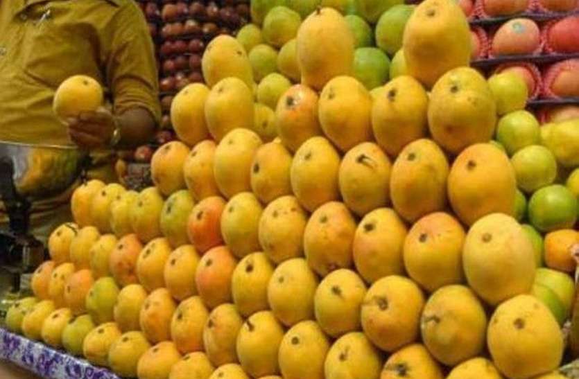 राज्य में बिका 1.50 लाख मीट्रिक टन आम राज्य में बिका 1.50 लाख मीट्रिक टन आम