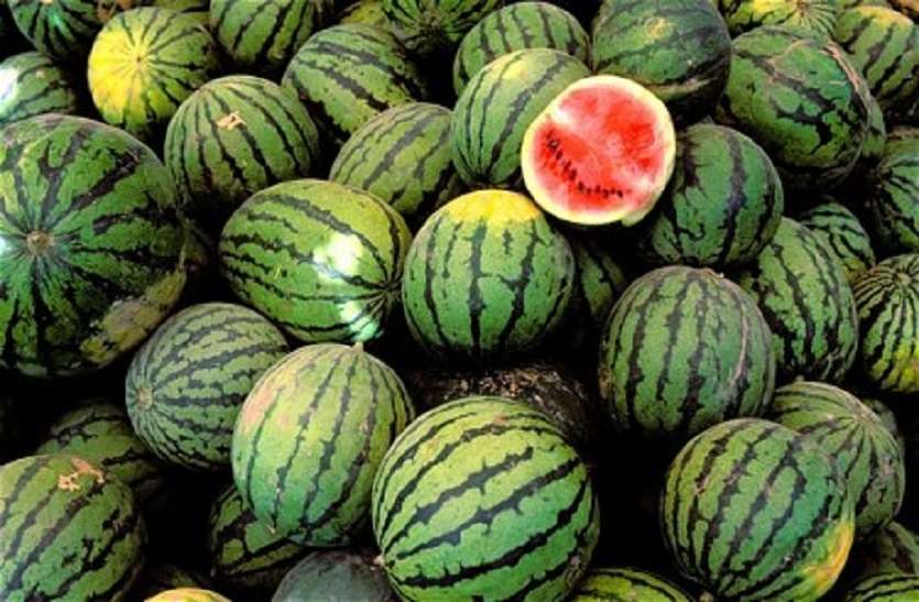 पूर्व विधायक ने खरीदा 15 टन तरबूज, तीन टन टमाटर पूर्व विधायक ने खरीदा 15 टन तरबूज, तीन टन टमाटर