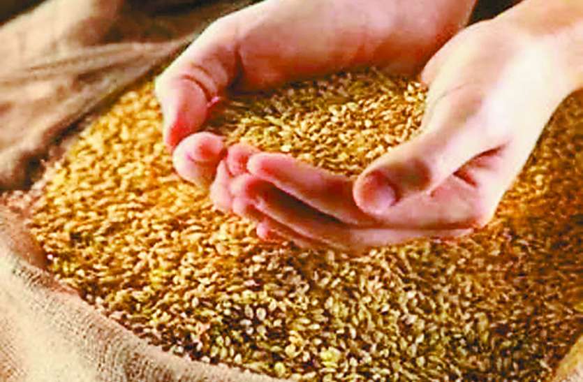 जिले में 100 से भी अधिक उपार्जन केंद्र, रिजेक्शन सिर्फ तीन में जिले में 100 से भी अधिक उपार्जन केंद्र, रिजेक्शन सिर्फ तीन में