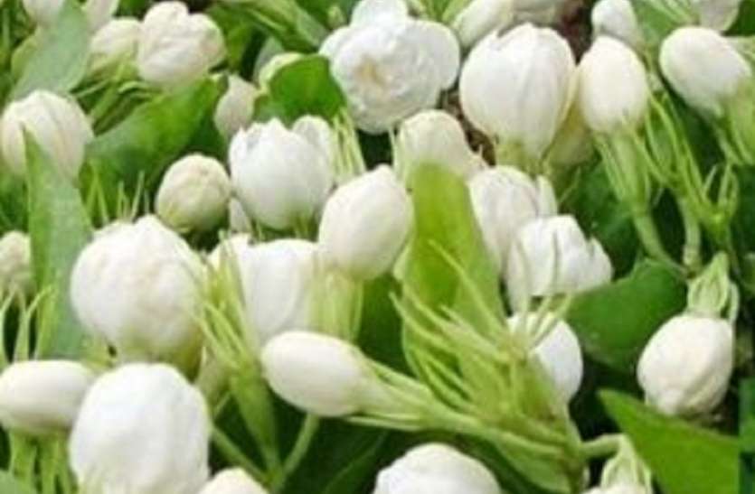 जिंदगी को नए झरोखों से देखने का मौका दे रहा कोरोना काल जिंदगी को नए झरोखों से देखने का मौका दे रहा कोरोना काल