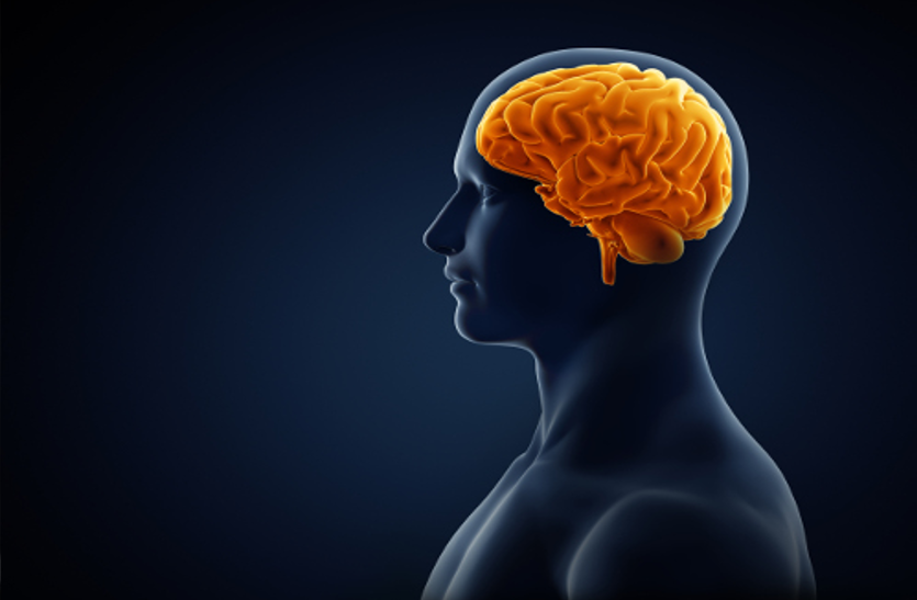 Brain health: मुश्किल फैसले हमारे दिमाग की प्राथमिकताओं को प्रभावित करते हैं Brain health: मुश्किल फैसले हमारे दिमाग की प्राथमिकताओं को प्रभावित करते हैं