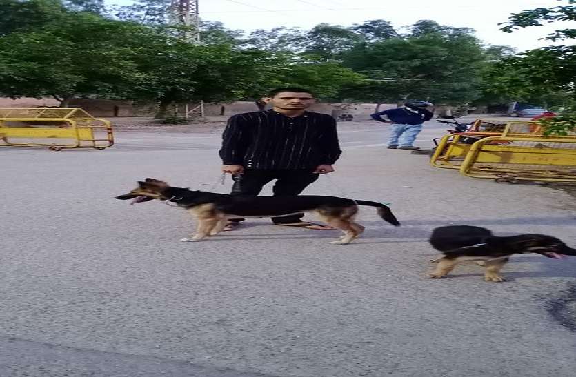 डीएम ने पुलिस कंट्रोल को बताया, बिना मास्क श्वान घूमा रहे व्यक्ति का काटा चालान डीएम ने पुलिस कंट्रोल को बताया, बिना मास्क श्वान घूमा रहे व्यक्ति का काटा चालान