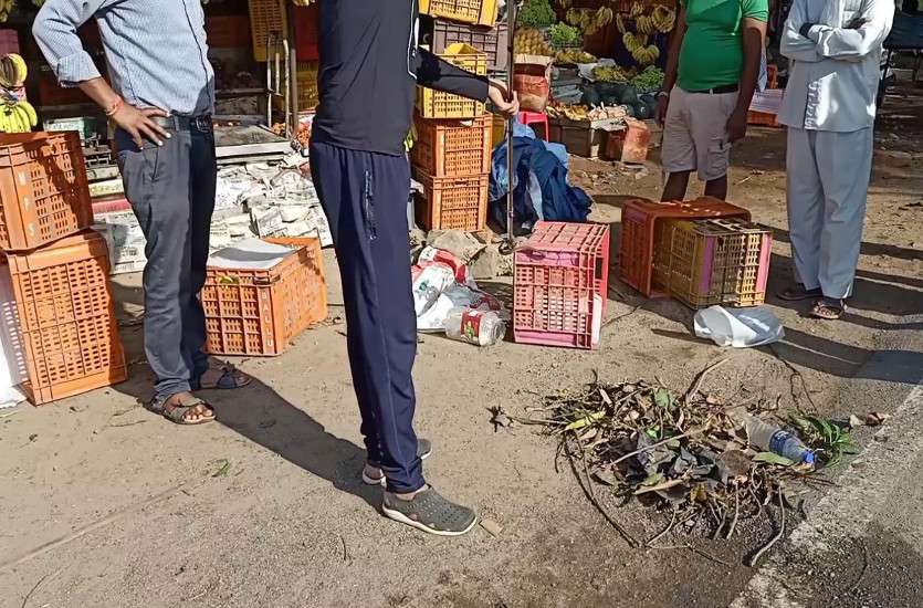 Total लॉकडाउन के बाद फल दुकान खोलते ही ट्रे में सांप पर पड़ी नजर तो उड़ गए होश, जान बचाने खुद कर रहा था मशक्कत
