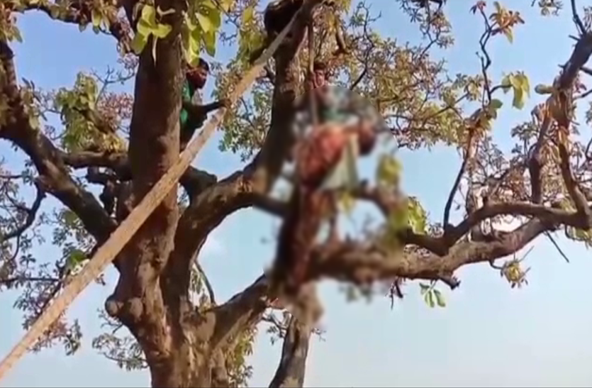 Lockdown Effect: पत्नी को मायके से घर लाने में असफल युवक ने लगाई फांसी Lockdown Effect: पत्नी को मायके से घर लाने में असफल युवक ने लगाई फांसी