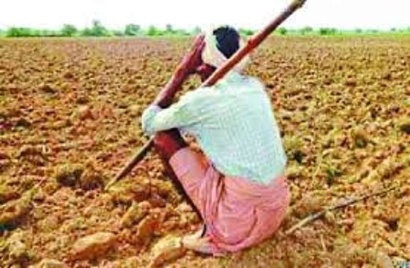 demo image किसानों को बड़ी राहत: 3 प्रतिशत ब्याज पर ऋण ले सकेंगे किसान