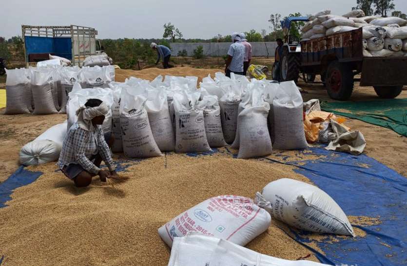 Monitor daily SMS sent to farmers for wheat procurement गेहूं उपार्जन हेतु किसानों को भेजे जाने वाले एसएमएस की दैनिक मानीटरिंग करें