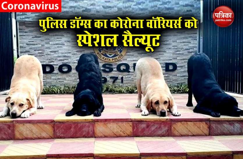 Dogs पुलिस डॉग्स ने कोरोना वॉरियर्स को किया सलाम, सोशल मीडिया पर वायरल हुई फोटो