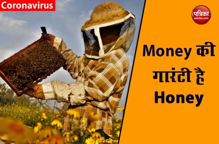 honey BUSINESS IN INDIA शहद उत्पादन ( HONEY BUSINESS ) के लिए मोदी सरकार देगी मदद, हर महीनें कर सकते हैं 1 लाख की कमाई