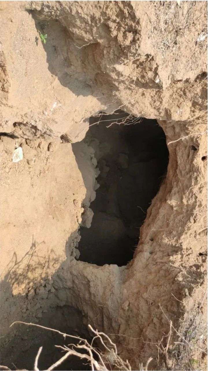 illegal_mining.jpg