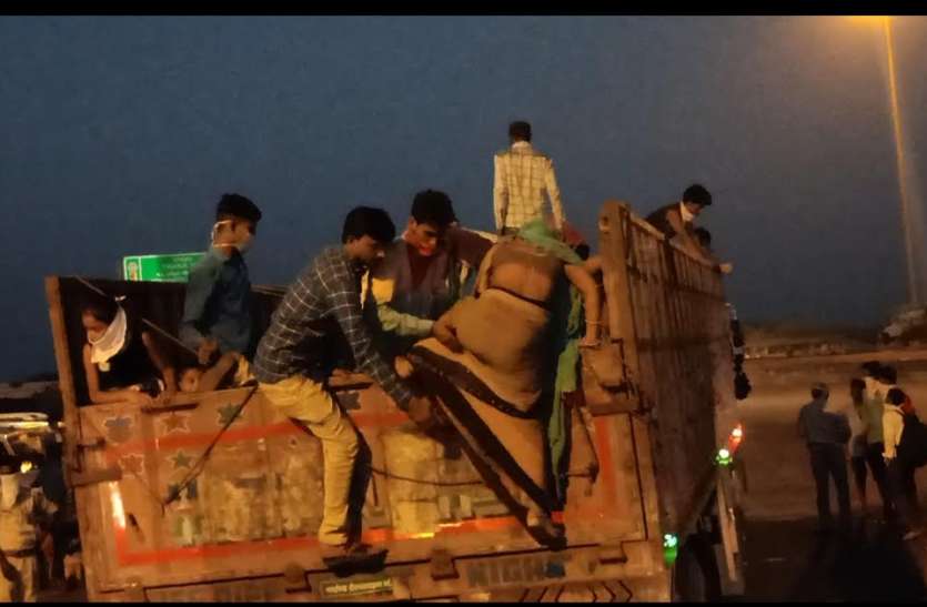 टोल नाके पर सैकड़ों बसें खड़ीं, फिर भी प्रवासी मजदूरों को ट्रकों से भेज रहे जिम्मेदार टोल नाके पर सैकड़ों बसें खड़ीं, फिर भी प्रवासी मजदूरों को ट्रकों से भेज रहे जिम्मेदार