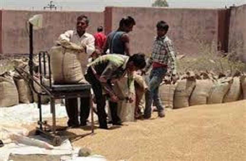 मध्यप्रदेश में गेहूँ का ऑल टाइम रिकार्ड उपार्जन मध्यप्रदेश में गेहूँ का ऑल टाइम रिकार्ड उपार्जन