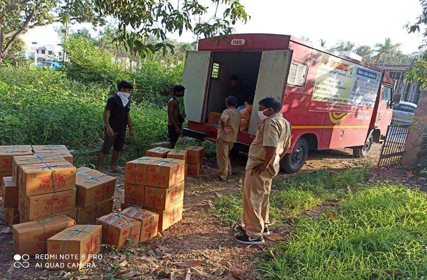 India post: बागों से मंडी तक आम भी पहुंचा रहा है डाक विभाग India post: बागों से मंडी तक आम भी पहुंचा रहा है डाक विभाग