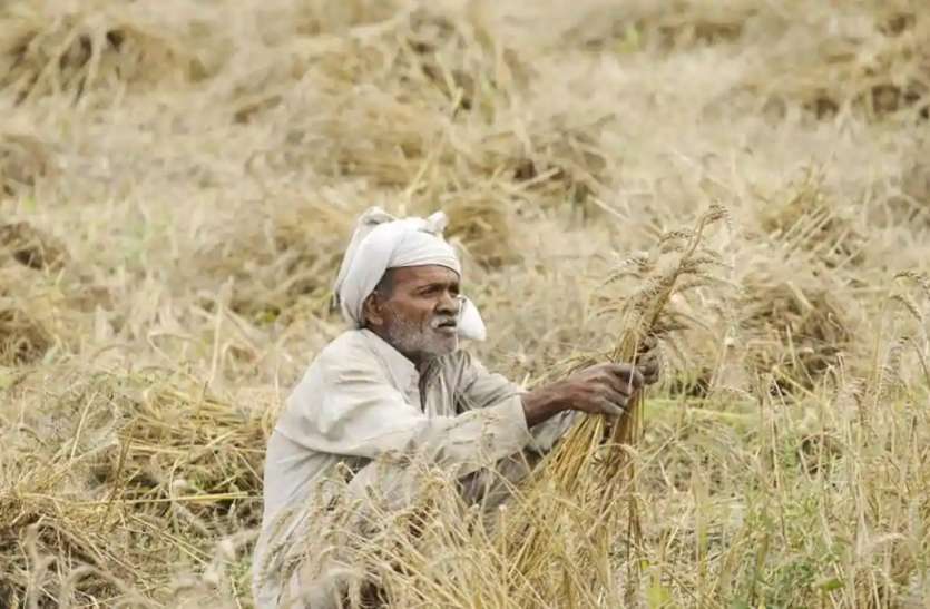 Rajasthan Farmer : ओलावृष्टि प्रभावित काश्तकारों को 55.38 करोड़ रुपए Rajasthan Farmer : ओलावृष्टि प्रभावित काश्तकारों को 55.38 करोड़ रुपए