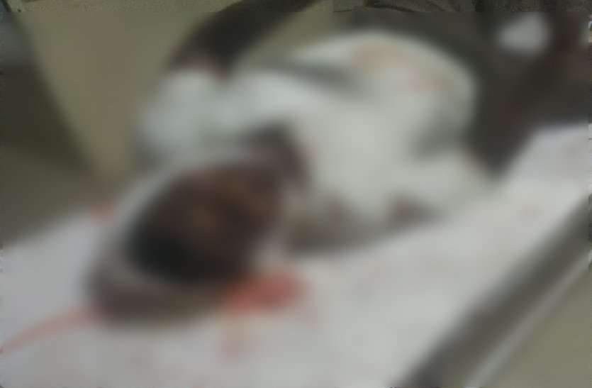 attack family wife dead and husband injured in bhind चप्पे-चप्पे पर पुलिस तैनात फिर भी परिवार पर हमला कर महिला को उतारा मौत के घाट, मची चीख पुकार