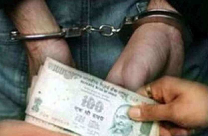 bribery allegations बिलाईगढ़ जनपद सीईओ समेत तीन पटवारी रिश्वत लेते धरे गए, 79 हजार बरामद