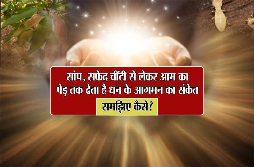https://www.patrika.com/bhopal-news/future-signs-30-dreams-signs-that-you-are-gonna-rich-soon-4771314/