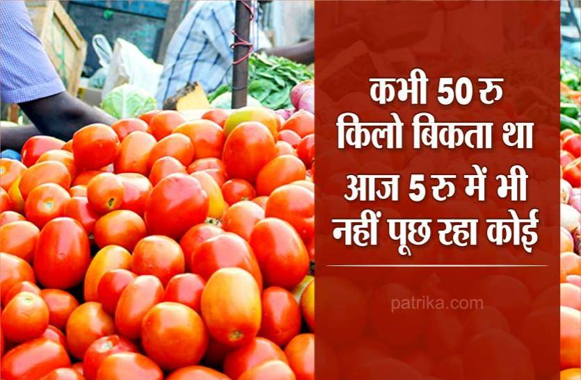 कभी पचास रुपये किलो बिकता था, आज पांच रुपये में भी कोई नहीं पूछ रहा कभी पचास रुपये किलो बिकता था, आज पांच रुपये में भी कोई नहीं पूछ रहा
