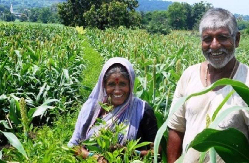 किसान फिर हो सकेंगे खुशहाल किसान फिर हो सकेंगे खुशहाल