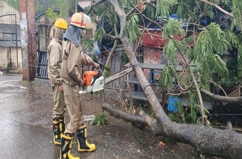 Cyclone Amphan: प्रचंड तूफान के कहर से दुबका ओडिशा, सैकड़ों पेड़ व घर गिरे, 1 मौत